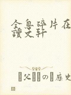 全息碎片在线阅读文轩