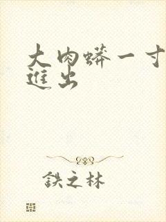 大肉蟒一寸一寸进出