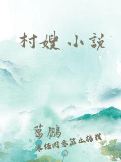 村嫂 小说