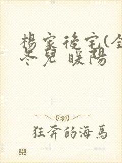 杨家后宅(全)冬儿 暖阳