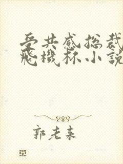 受共感总裁攻的飞机杯小说叫什么