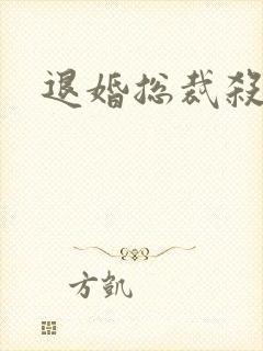 退婚总裁杀手妻