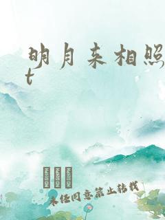 明月来相照txt