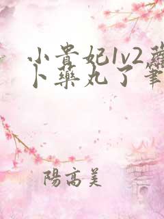 小贵妃1v2萝卜药丸了笔趣阁
