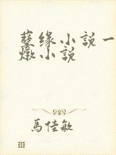 孽缘小说一家乱炖小说