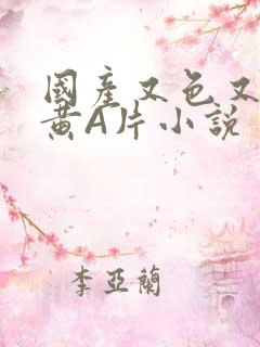 国产又色又爽又黄A片小说