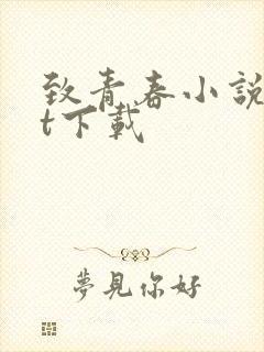 致青春小说txt下载