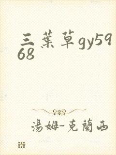 三叶草gy5968