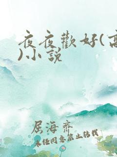 夜夜欢好(高h)小说