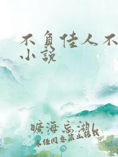 不负佳人不负卿小说