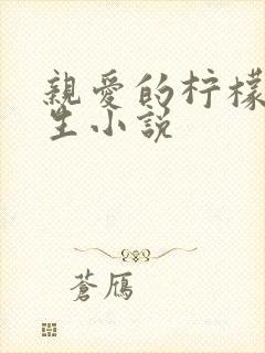 亲爱的柠檬精先生小说