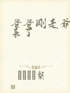 爸爸刚走爷爷就来了