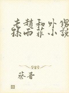 老赵和外甥媳妇孙雨菲小说
