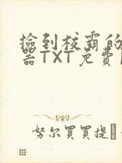 捡到校霸的遥控器TXT免费阅读