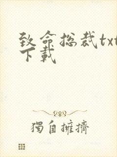 致命总裁txt下载