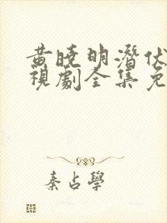 黄晓明潜伏者电视剧全集免费观看