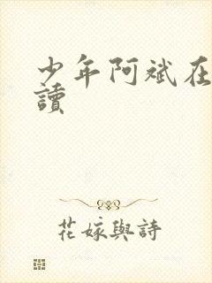 少年阿斌在线阅读