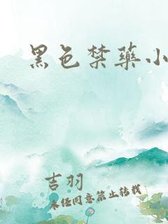 黑色禁药小说