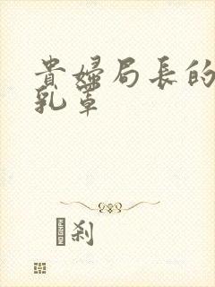 贵妇局长的蕾丝乳罩