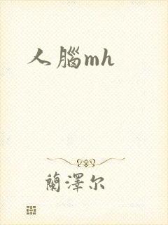 人脑mh