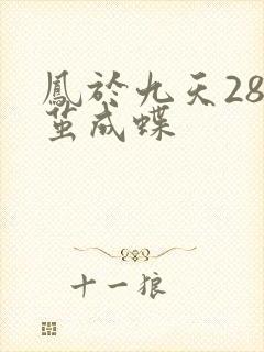 凤于九天28破茧成蝶