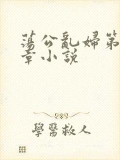 荡公乱妇第51章小说