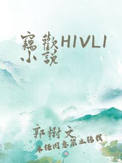 窃欢H1VL1小说