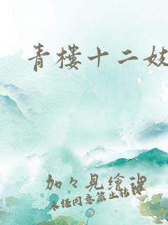 青楼十二妓