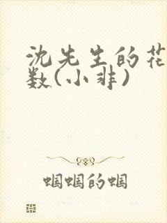 沈先生的花式调数(小非)