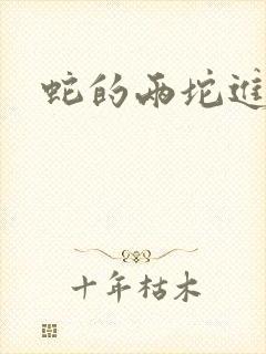 蛇的两坨进不去