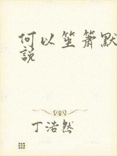 何以笙箫默 小说