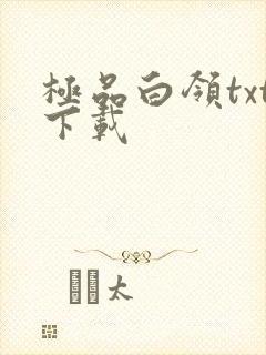 极品白领txt下载