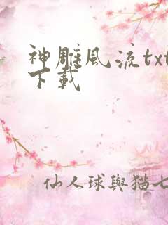 神雕风流txt下载