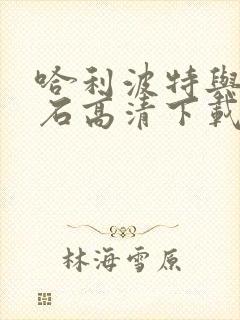 哈利波特与魔法石高清下载