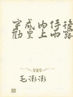 穿成内侍后总在劝皇上雨露均沾