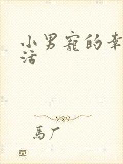 小男宠的幸福生活