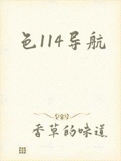 色114导航