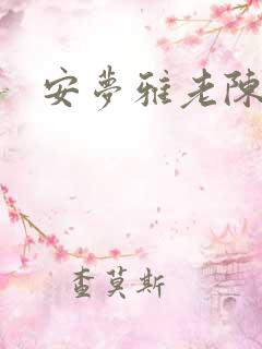 安梦雅老陈