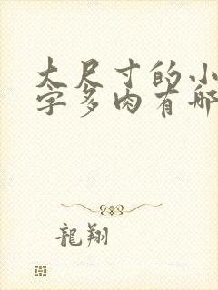 大尺寸的小黄说字多肉有哪些