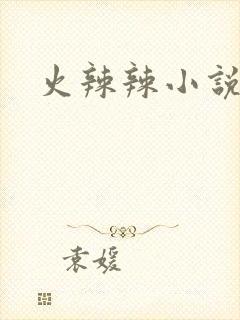 火辣辣小说全集