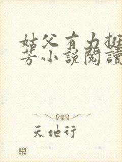 姑父有力挺送小芳小说阅读