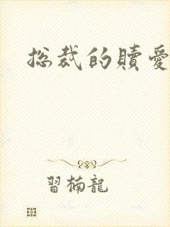 总裁的赎爱宝贝