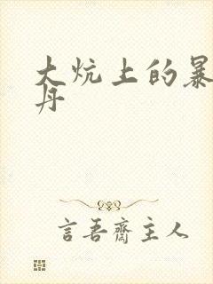 大炕上的暴伦小丹