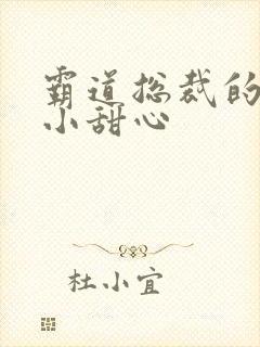 霸道总裁的宠爱小甜心