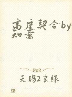 高度契合by洛知意