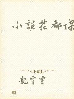 小说花都保镖