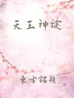天王神途