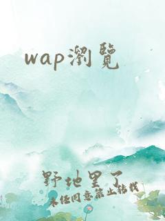 wap浏览