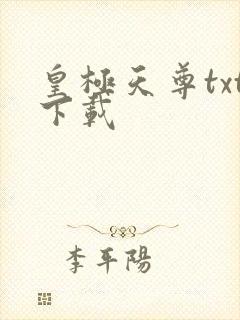 皇极天尊txt下载