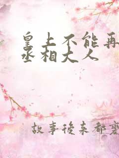 皇上不能再进了丞相大人